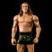 WWE Akční figurka MATT RIDDLE 17 cm, Mattel HTG36