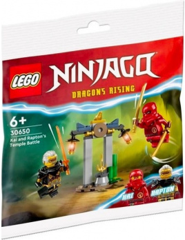 LEGO® NINJAGO 30650 Bitva Kaie a Raptona v chrámu