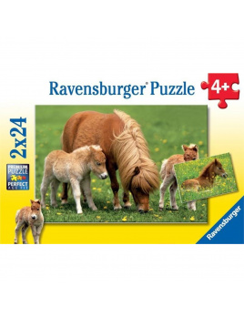 Ravensburger 08994 Puzzle Roztomilí poníci 2x24 dílků