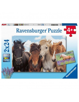 Ravensburger 05148 Fotky koní 2x24 dílků