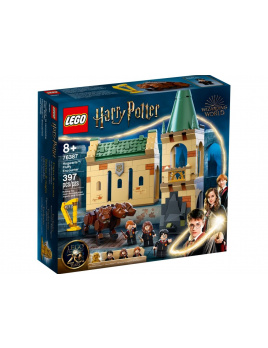 LEGO Harry Potter 76387 Rokfort: stretnutie s Chlpáčikom