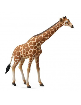 Collecta Žirafa